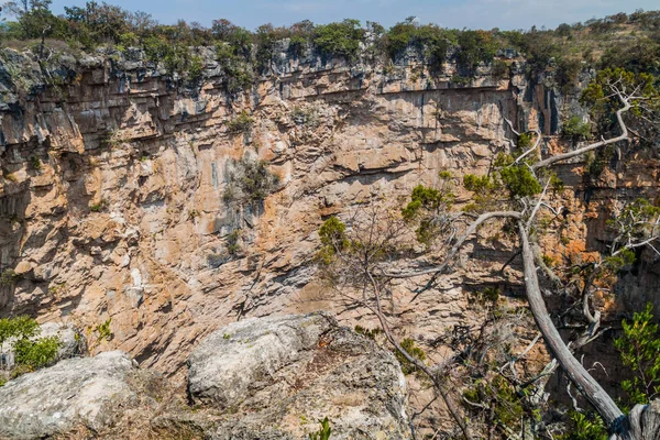 Hoyo Cimarron Cenote Gouffre Dans Nord Ouest Guatemala — Photo