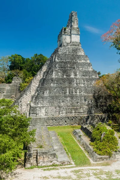 Суд Поруч Храмом Археологічних Розкопок Тікаль Гватемала — стокове фото