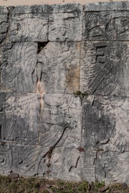 Chichen Itza, Meksika kabartmalar arkeolojik büyük top oyunu sarayda, oyuncuların sitesi.