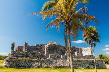 Harabeleri antik Maya kentin Tulum, Meksika