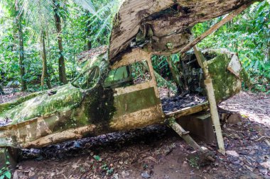 Cockscomb Havzası yaban hayatı kutsal, Belize uçak kazasında. Dr. Alan Rabinowitz, biyolog Jaguarlar eğitim ile bu uçak düştü.