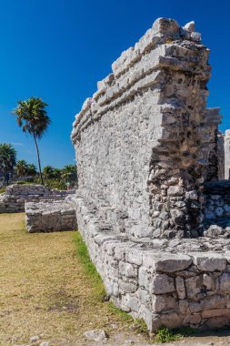 Harabeleri antik Maya kentin Tulum, Meksika