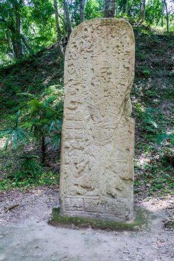 Stela arkeolojik alanında Yaxha, Guatemala