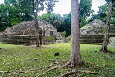 Piramitleri arkeolojik alanında Yaxha, Guatemala Maler grubunun
