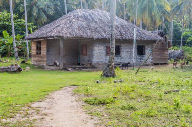 Baracoa, Küba çevre thatched çatı Playa Maguana beach ile kırsal kulübe