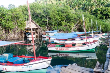 Boca De Miel, Küba - 4 Şubat 2016: Balıkçı tekneleri, Rio Miel nehir ağzı Baracoa, Küba yakınındaki demir attı