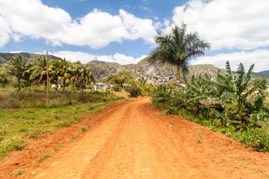 Yol boyunca Vinales, Cuba yakınındaki Guasasa Vadisi