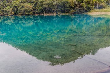 Laguna Brava (Yolnabaj) Gölü, Guatemala