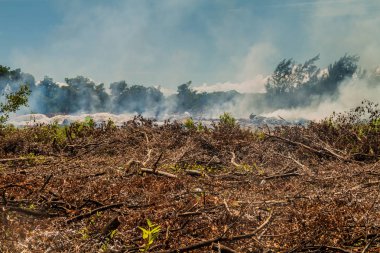 Yanan dökümü adasında Caye Caulker, Belize