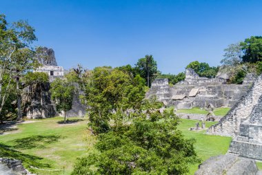 Gran Plaza arkeolojik alanında Tikal, Guatemala