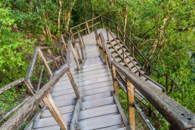 Tapınak IV için arkeolojik önde gelen merdiven Tikal, Guatemala site