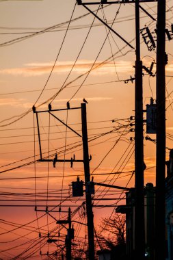 Gün batımı sırasında teller karışıklık. Las Tunas, Cuba.