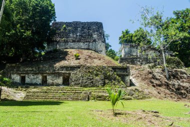 Kalesi'nde arkeolojik Tikal, Guatemala