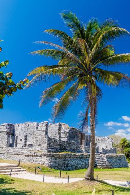 Harabeleri antik Maya kentin Tulum, Meksika