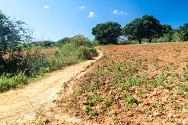 Valle de vızıldamak village, Küba yakınındaki çamurlu yol