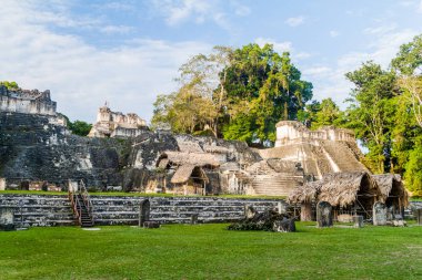 Gran Plaza arkeolojik alanında Tikal, Guatemala