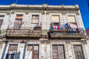 Havana Centro mahalle, Havana, yavrusu dökük