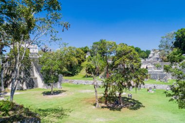 Tikal, Guatemala - 14 Mart 2016: Grand Plaza arkeolojik Tikal, Guatemala, turist ziyaret