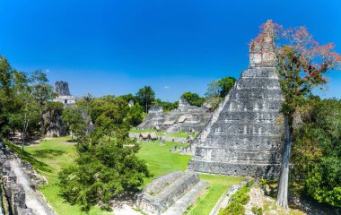 Gran Plaza arkeolojik alanında Tikal, Guatemala