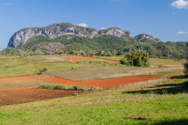 Vinales görünümü, Küba yakınındaki doğal peyzaj