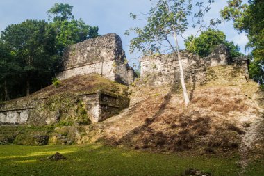 Kalesi'nde arkeolojik Tikal, Guatemala