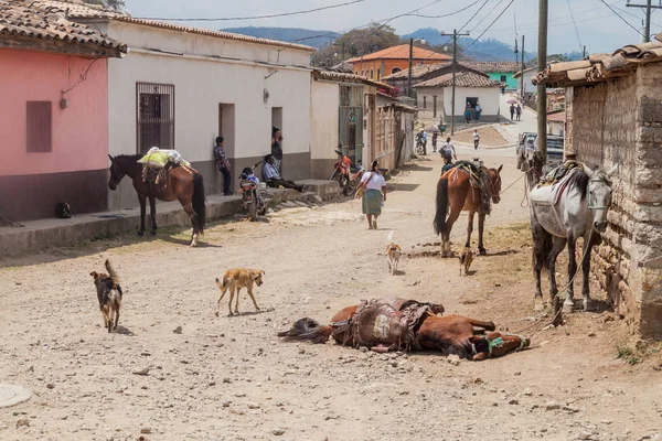 San Manuel Colohete Honduras Dubna 2016 Pohled Pouliční Scény Vesnici — Stock fotografie