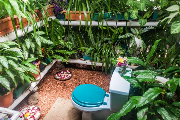 San Miguel Duenas Gwatemala Marca 2016 Toaleta Mnóstwem Roślin Stacji — Zdjęcie stockowe