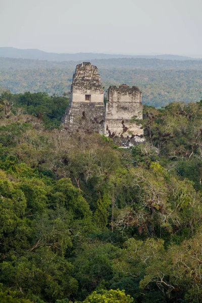 Tikal Guatemala Arkeolojik Tapınaklar Site — Stok fotoğraf