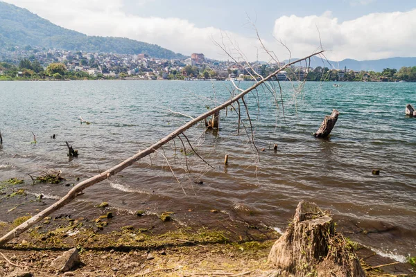 Atitlan Sahil Göl Guatemala Batma Ağaçlarının Neden Göl Seviyesinin Santiago — Stok fotoğraf