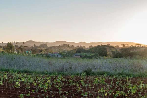 Vinales Vadisi'ne Küba arka plan üzerinde günbatımında