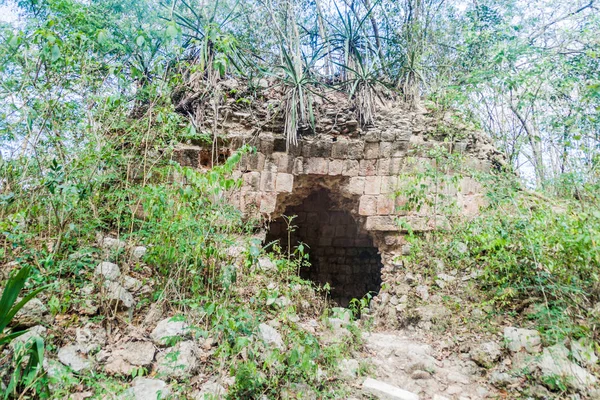 Ruins Ancient Mayan City Uxmal Mexico — Stock Photo, Image