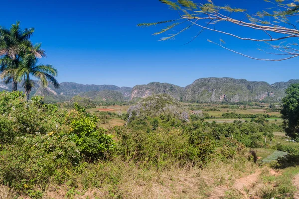 Malerische Landschaft Von Vinales Tal Kuba — Stockfoto