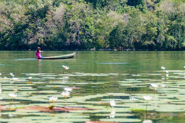 Rio Dulce, Guatemala - 10 Mart 2016: Rio Dulce Nehri, Guatemala kürek çekmeye yerel yerli kadın
