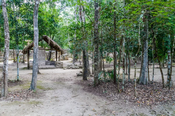 Ruines Ville Maya Coba Mexique — Photo