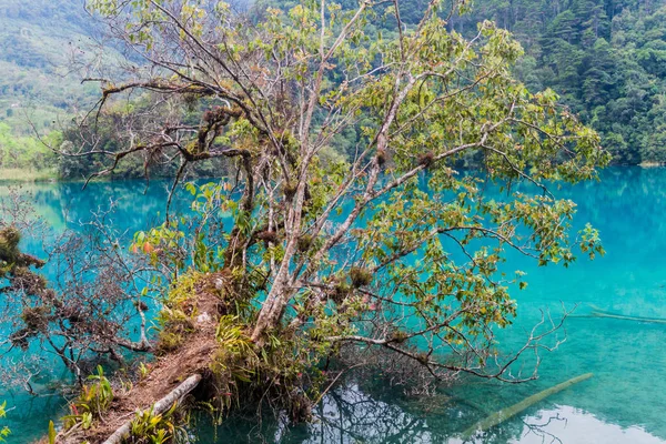Laguna Brava Yolnabaj See Guatemala — Stockfoto