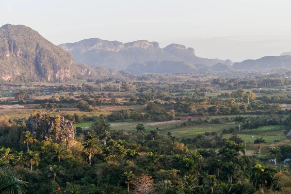 Wgląd Ranka Dolina Vinales Mogotes Wapiennych Wzgórz Kuba — Zdjęcie stockowe