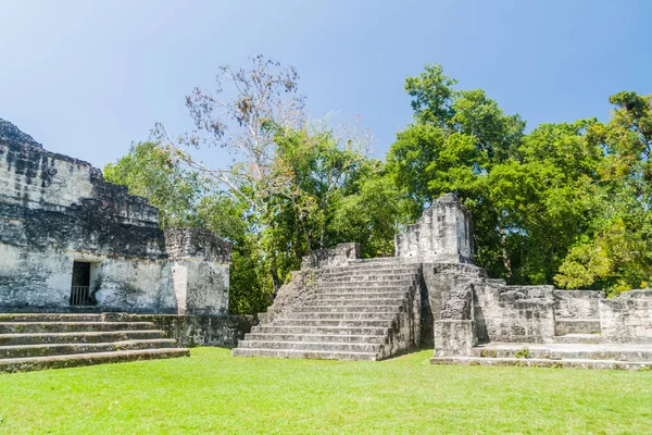 Kalesi'nde arkeolojik Tikal, Guatemala