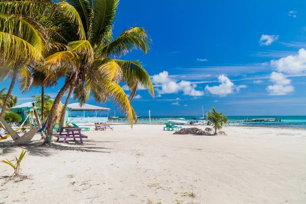 Пальмы Пляж Острове Кей Кейкер Белиз — стоковое фото