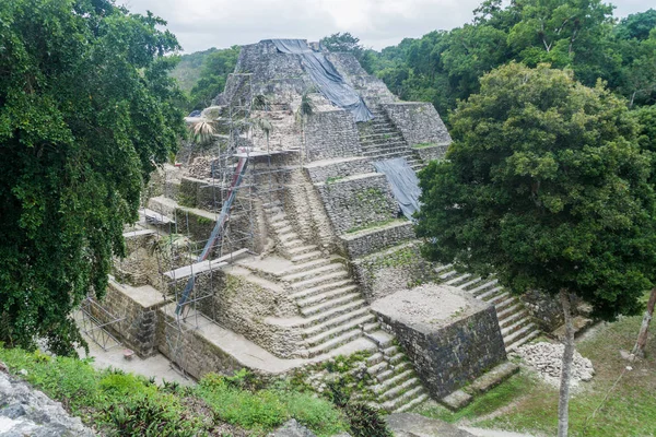 Kuzey Acropolis adlı sit alanı Yaxha, Guatemala, piramit