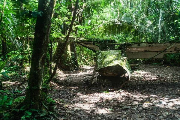 Cockscomb Havzası yaban hayatı kutsal, Belize uçak kazasında. Dr. Alan Rabinowitz, biyolog Jaguarlar eğitim ile bu uçak düştü.