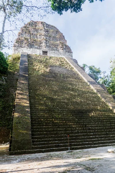 Templo Sítio Arqueológico Tikal Guatemala — Fotografia de Stock