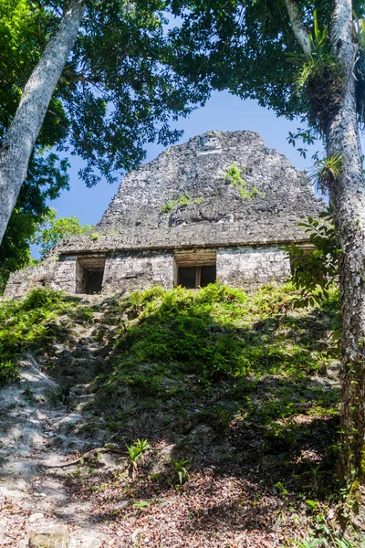 Świątynię Stanowisko Archeologiczne Tikal Gwatemali — Zdjęcie stockowe