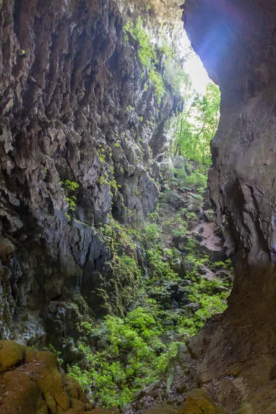 クエバ ハーディン 庭園洞窟 カンデラリアの一部洞窟の複雑なグアテマラ Mucbilha 村の近く — ストック写真