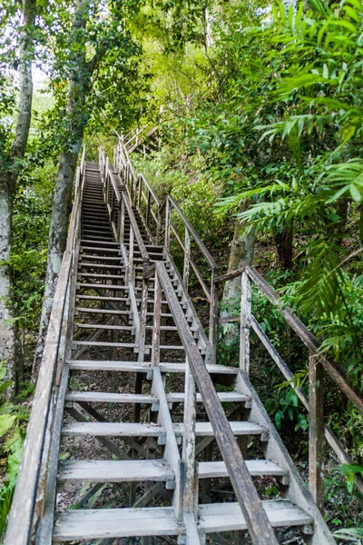 階段は 考古学で四寺につながるサイト ティカル グアテマラ — ストック写真