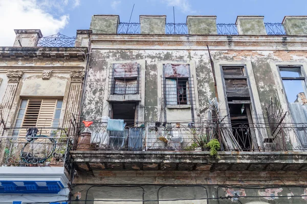Havana Centro mahalle, Havana, yavrusu dökük