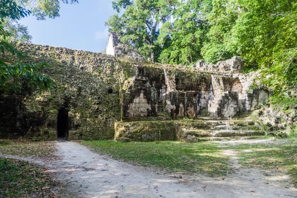 Kalesi Nde Arkeolojik Tikal Guatemala — Stok fotoğraf