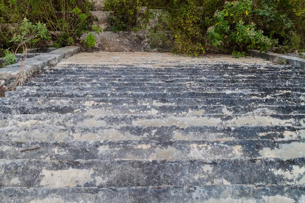 Casa de la Vieja antik Maya şehir Uxmal, Meksika bina kalıntıları için adımlar