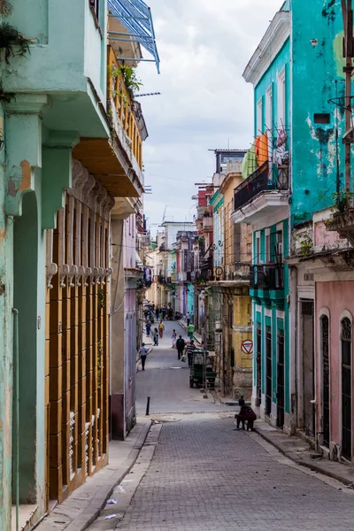 Havana Küba Şubat 2016 Hayat Eski Havana Mahallede Bir Sokakta — Stok fotoğraf