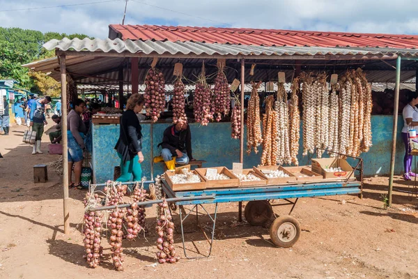 Camagüey, Cuba - 26 Ocak 2016: Sarımsak ve soğan tezgahları Camagüey, Küba'da Mercado Agropeculario (Tarım Market) Hatibonico