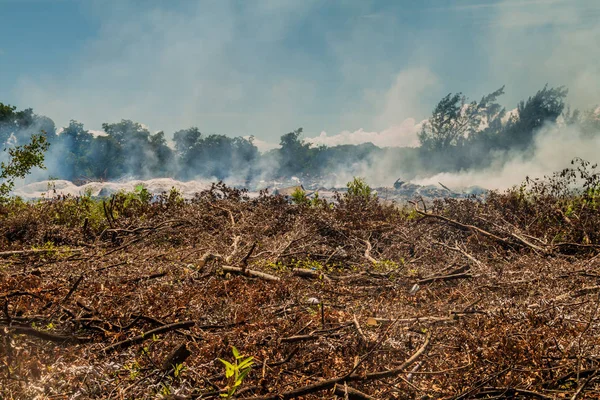 Yanan dökümü adasında Caye Caulker, Belize